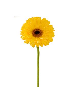 162419