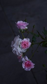 96710