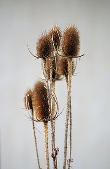 190686