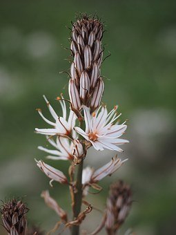 240169