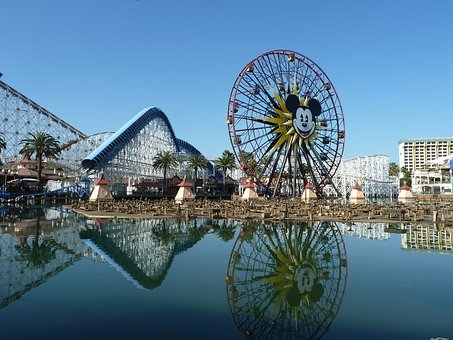 295647