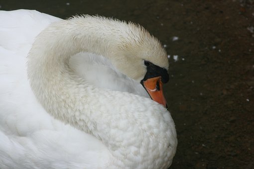 16367