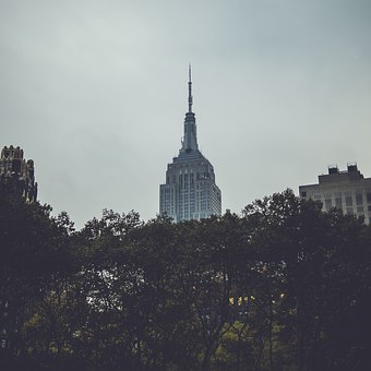 23655