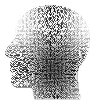 38838