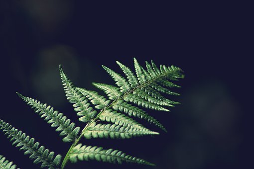 117840