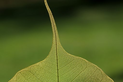 7665