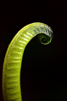 292118