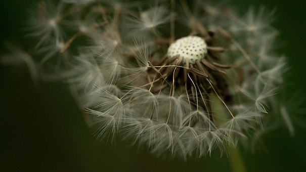 76902