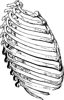 86304