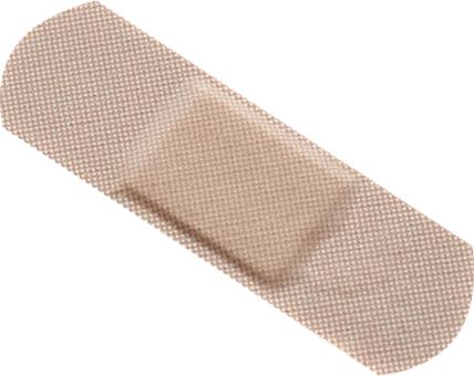 3244