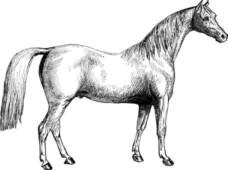 16496