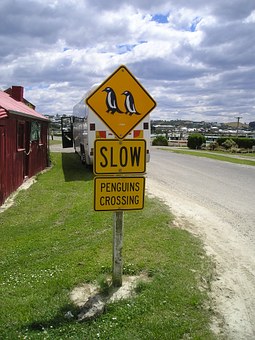 403358