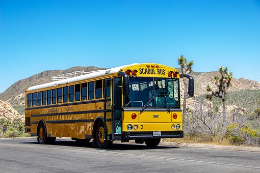 335992