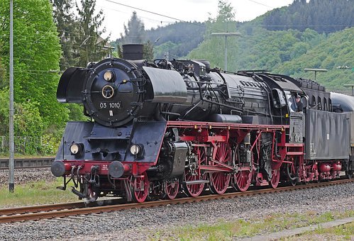 295556