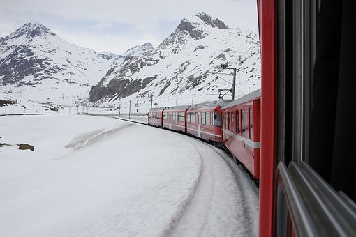 291446