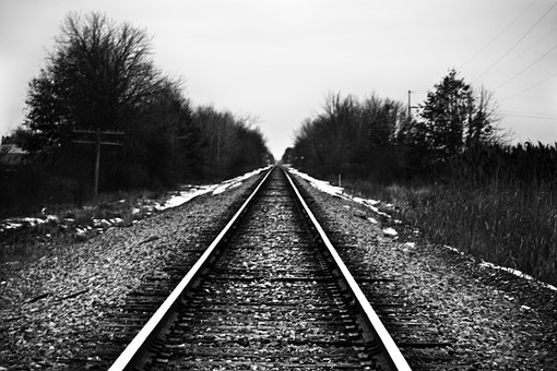 31491