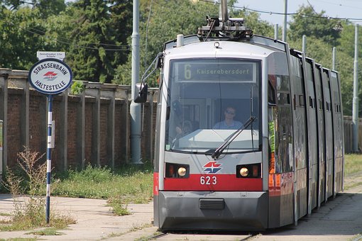 66006