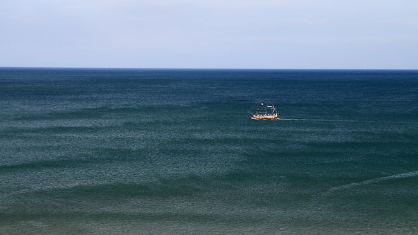 275052