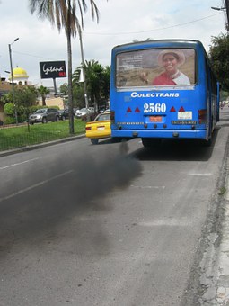 251924