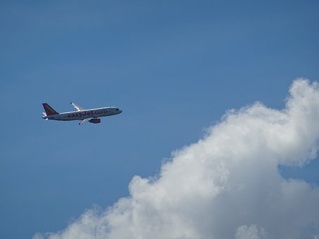 73984