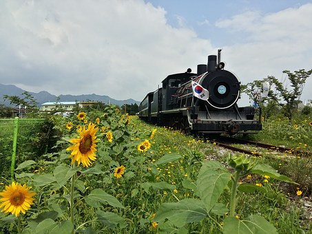 315666
