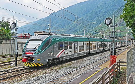 306225