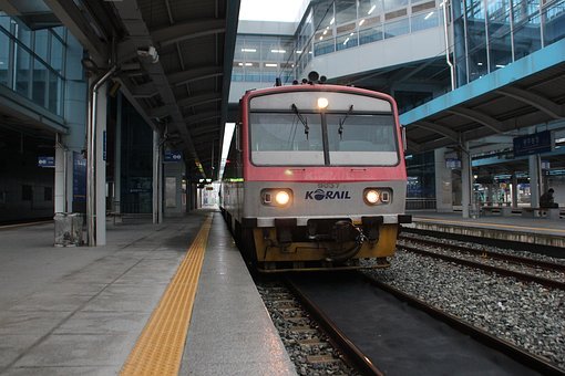 264462