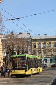 331164