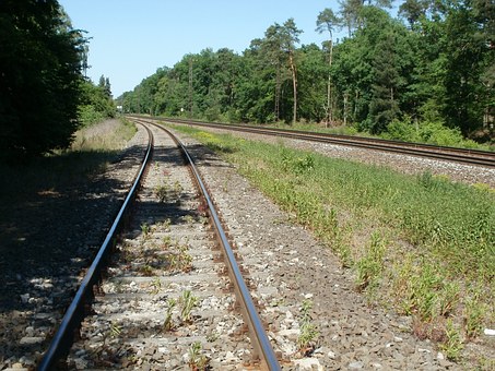 236444