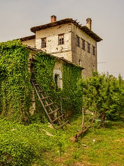 303522