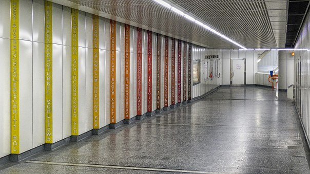 305914