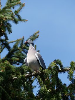 245447