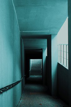 333988