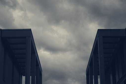 271817