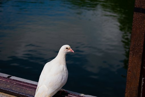105938