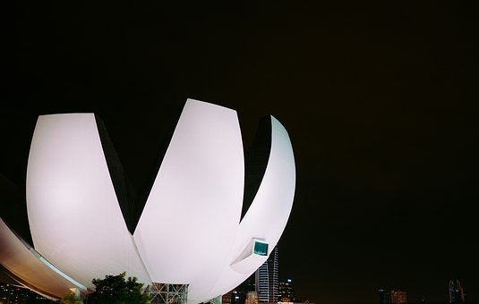 36586