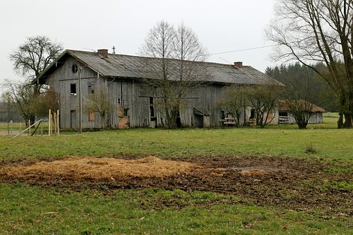 70677