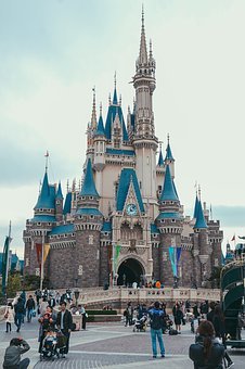 156356