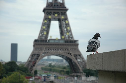116859