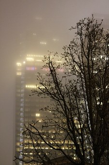 50074
