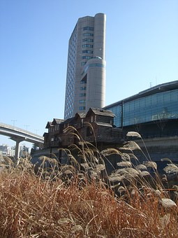 260510