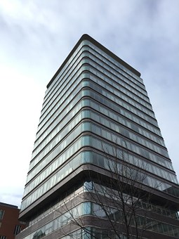 244521