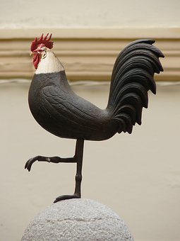 202862