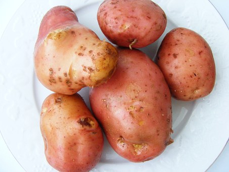 52608