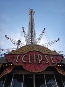 12556
