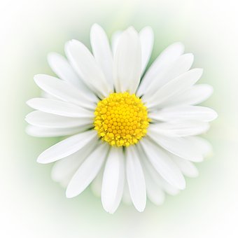 256019