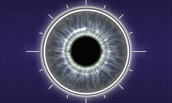 177206