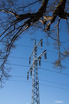 272254