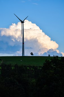 116917