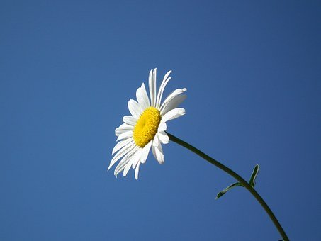 86507